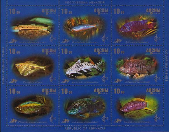 Abchasien 2003 Zierfische Kleinbogen
