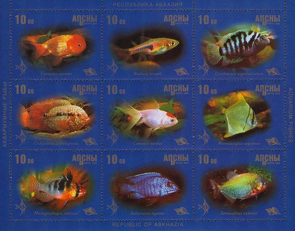 Abchasien 2004 Zierfische Kleinbogen