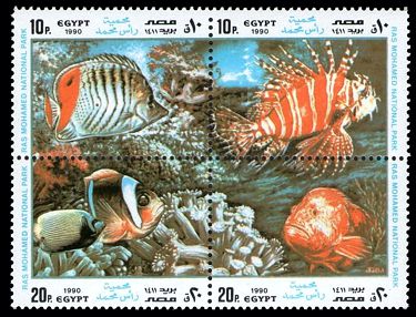 Ägypten 1990 Korallenriff Satz