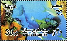 Ägypten 2007 Tourismus Sharm El-Sheikh Fische
