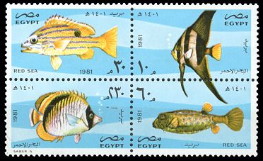 Ägypten 1982 Fischsatz