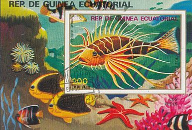 Äquatorial Guinea 1979 Block Fische ungezähnt