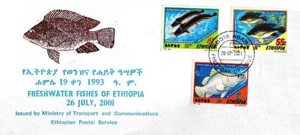 Äthiopien 2001 FDC