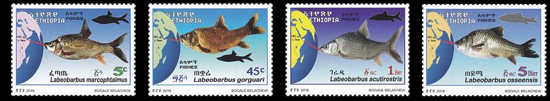 Äthiopien 2017 Einheimische Fische