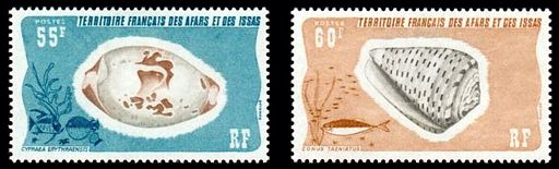 Afar & Issas 1976 Muscheln Satz