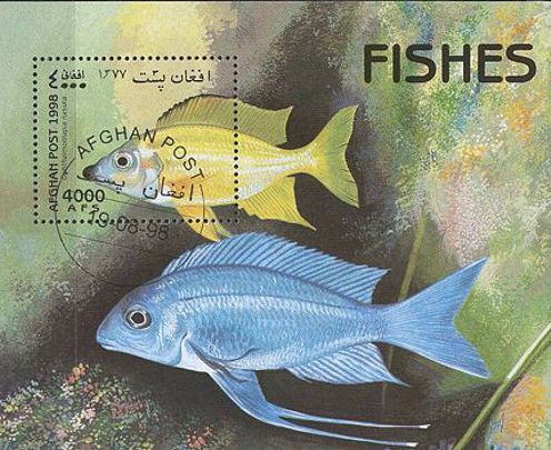 Afghanistan 1998 Fischblock