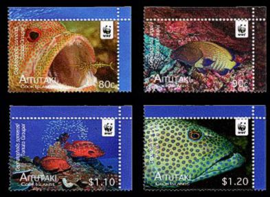 Aitutaki 2010 Roter Sonnenbarsch Satz