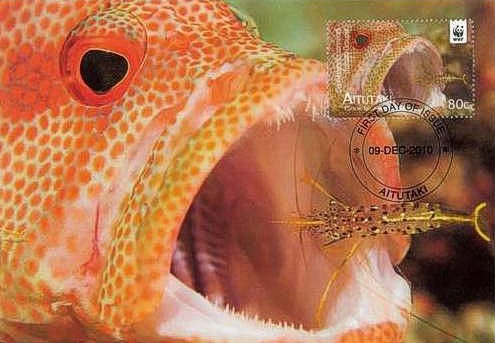 Aitutaki 2010 Block Roter Sonnenbarsch