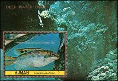 Ajman 1972 Block klein