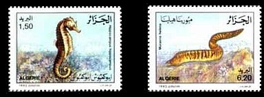 Algerien 1992 Meerestiere Fische