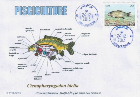 Algerien 2013 Ersttagsbrief Fischzucht