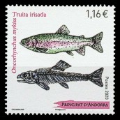 Andorra 2020 Regenbogenforelle