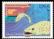 Andorra 2024 Regenbogenforellen