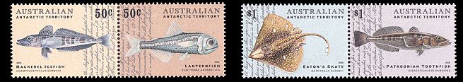 Antarktis 2006 Fischsatz