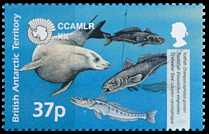 Antarktis 2002 Meeresschutz Fische