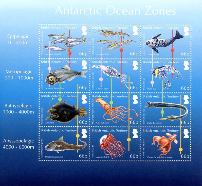 Antarktis 2016 Kleinbogen Fauna