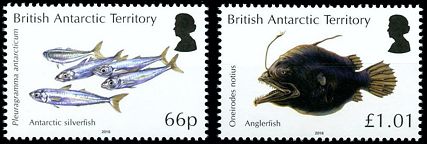 Antarktis 2016 Satz Fauna