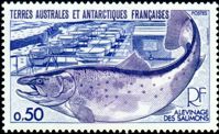 Antarktis 1977 Fisch Briefmarke