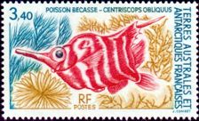 Antarktis 1993 Fisch Marke