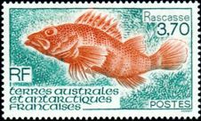 Antarktis 1994 Fisch Marke