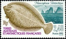 Antarktis 1995 Meerestiere