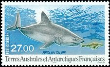 Antarktis 1998 Fisch Marke