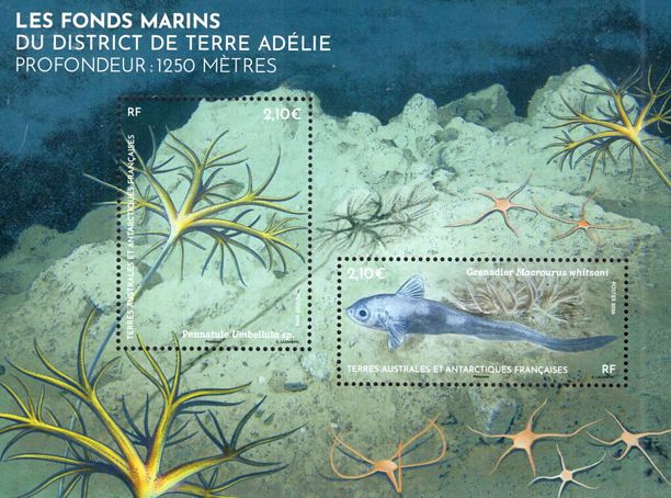 Französische Antarktis 2026 Meeresboden Block