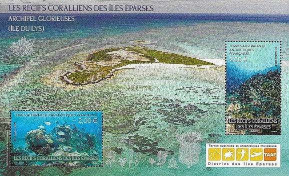 Französische Antarktis 2021 Korallenriffe Block