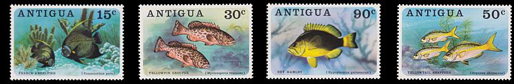 Antigua 1976 Fischsatz Übersicht