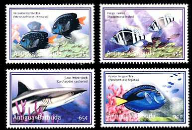 Antigua Barbuda 2001 Meeresleben Übersicht