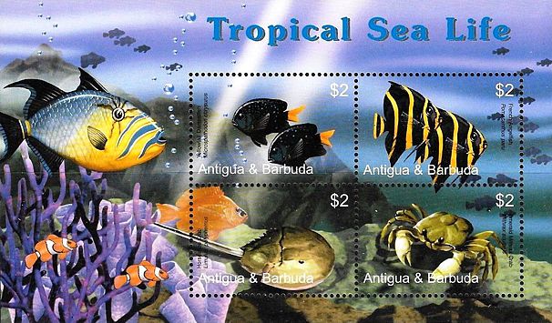 Antigua Barbuda 2005 Tropische Fische Kleinbogen