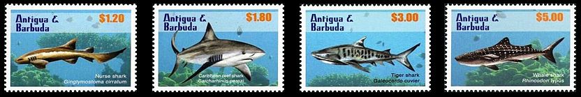 Antigua Barbuda 2010 Haie Satz