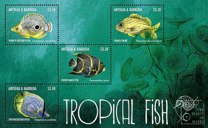 Antigua Barbuda 2011 Tropische Fische Kleinbogen 2