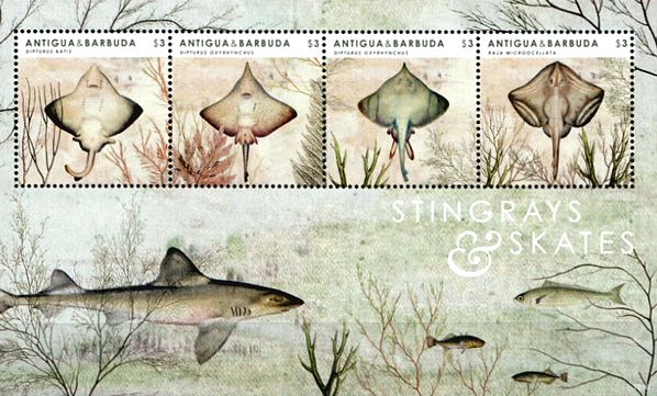 Antigua Barbuda 2012 Rochen Kleinbogen