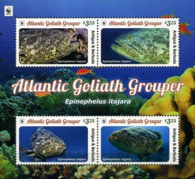 Antigua Barbuda 2016 Block Riesenzackenbarsch