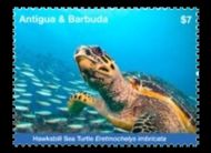 Antigua Barbuda 2017 Schildkröte mit Fischen