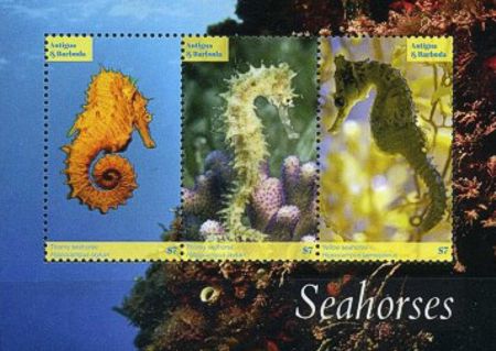 Antigua Barbuda 2017 Seepferdchen Kleinbogen 1