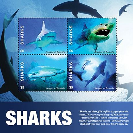 Antigua & Barbuda 2022 Haie Kleinbogen
