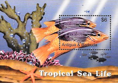 Antigua Barbuda 2005 Block Tropische Fische