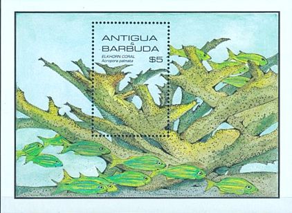 Antigua Barbuda 1985 Block Meeresleben