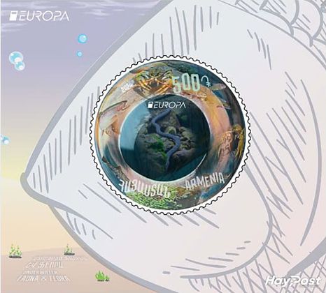 Armenien 2024 Unterwasserfauna Block Fischauge