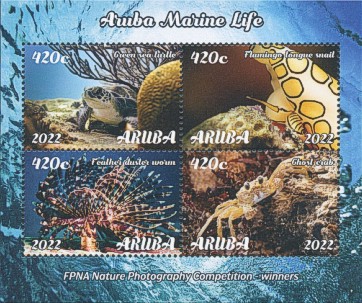 Aruba 2022 Unterwasserfotografie Block