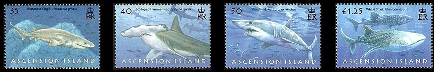 Ascension 2008 Haie Satz