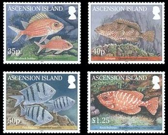 Ascension 2010 Fische Satz