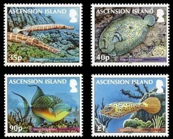 Ascension 2012 Korallenfische Satz
