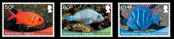 Ascension 2013 Meerestiere Satz