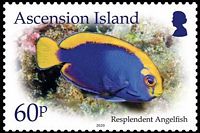 Ascension 2020 Freimarken Zwergkaiserfisch