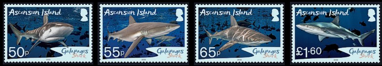 Ascension 2022 Galapagoshai Satz