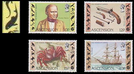 Ascension 1982 Charles Darwin Satz mit Fischmotiv