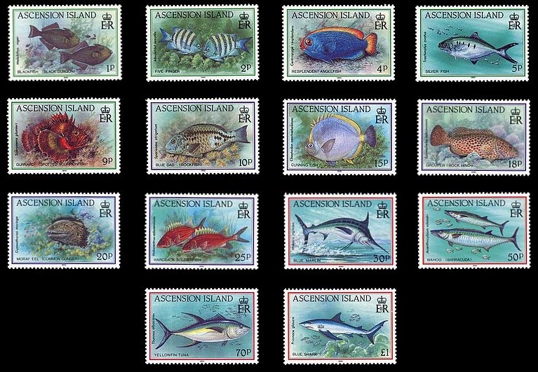 Ascension 1991 Satz Delfin